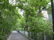 Wohnen beim Wilhelminenberg