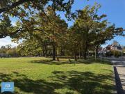 Wohnen direkt am Napoleonwald: Grundstück mit Potential...