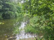 Wohnen direkt am Türkenschanzpark