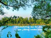 Wohnen im Dachgeschoß bei der Alten Donau