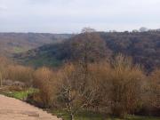 WOHNEN IM DACHGESCHOSS EINES ZWEI FAMILIEN WOHNHAUSES...