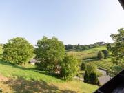 Wohnen im Grünen – Haus mit viel Platz und Natur in...