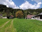 Wohnen im Grünen Projekt für vorausschauende Planer