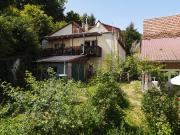 Wohnen im Grünen – Vielseitiges Mehrfamilienhaus mit...