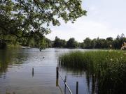 Wohnen im Grunewald am Tor zum mondänsten Bezirk Berlins