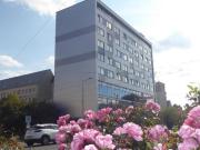 wohnen im Kopfhaus. großzügige 3 Zimmer Wohnung mit...