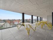 Wohnen im Süd Spitz: wunderschöne 2 Zimmer Wohnung mit...