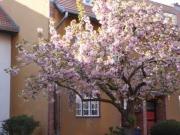 Wohnen im Unesco Welterbe