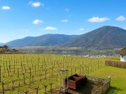 Wohnen in der Wachau: Einfamilienhaus in Ortsrandlage...