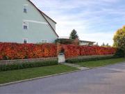 WOHNEN MIT KLUGEM ENERGIEKONZEPT