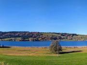Wohnen wo andere Urlaub machen Nähe Wallersee & Mondsee!