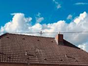 Wohnen, wo die Natur zu Hause ist