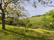 Wohnen zwischen den Weinreben einzigartiges Grundstück...