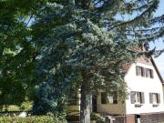 Wohnhaus mit Nebengebäude in Ortsrandlage in 2625... Wohnhaus mit Nebengebäude in Ortsrandlage in 2625...