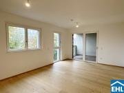 Wohnung 50 m2 Wien