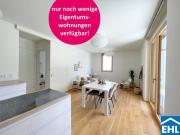 Wohnung 53 m2 Wien,Meidling Wohnung 53 m2 Wien,Meidling