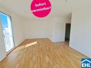 Wohnung 54 m2 Wien