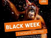 Wohnung 692.98 € zur Miete Ernst Enge Str. 18, Gablenz...