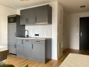 Wohnung auf Zeit: Möbliertes Single Apartment inkl