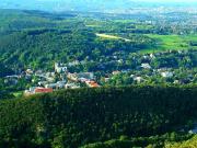 Wohnung Immobilie Wien GS96264927