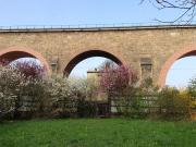 Wohnung Immobilie Wien GS96745908