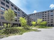 Wohnung in der Seestadt