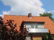 Wohnung in Lichterfelde Ost mit Gartenbenutzung