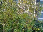 Wohnung kaufen Bad Homburg Über den Dächern von Bad Homburg.