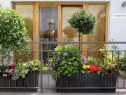 Wohnung kaufen Bonn Erdgeschosswohnung in 53117 Bonn,... Wohnung kaufen Bonn Erdgeschosswohnung in 53117 Bonn,...