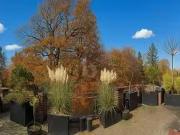 Wohnung kaufen Hamburg Wellingsbüttel EINMALIG SELTEN...