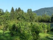 Wohnung kaufen Inzell Wohnen wie in einer...