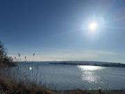 Wohnung kaufen Radolfzell Vom See bis zur Haustür in nur...