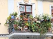 Wohnung kaufen Schielo 3 Zimmer Wohnung mit Balkon