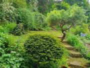 Wohnung kaufen Schriesheim SOFORT FREI! IDEAL FÜR AKTIVE...