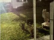 Wohnung kaufen Wasserburg am Inn RESERVIERT Sonnige Terras.