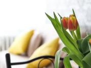 Wohnung mieten Bernau WILLKOMMEN DAHEIM! Gemütliche 3 Zi...