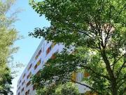 Wohnung mieten Chemnitz Wohnung, EG, rechts, Am Stadtpark 18