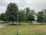 Wohnung mieten Erfurt Geräumige 1 Raumwohnung sucht Sie!