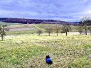 Wohnung mieten Kraichtal Landshausen 3 Zimmerwohnung mit...