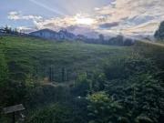 Wohnung mieten Paderborn Traum Wohnung! Südbalkon!...
