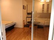 Wohnung mit 1 Schlafzimmer Vienna DS77952004