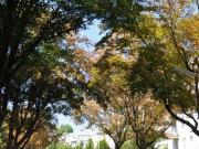 Wohnung mit 1 Schlafzimmer Wien 1190 DS97261682