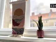 Wohnung mit 1 Schlafzimmer zu vermieten in Berlin...