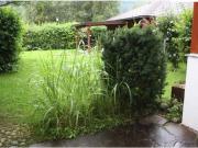 Wohnung mit 2 Schlafzimmer Hallein 5400 DS98488108