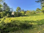 Wohnung mit 2 Schlafzimmer Kärnten 9100 DS97454444