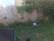 Wohnung mit 2 Schlafzimmer Klagenfurt 9020 DS95979095