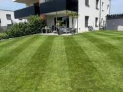 Wohnung mit 2 Schlafzimmer Steiermark 8054 DS100079800