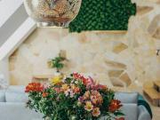 Wohnung mit 2 Schlafzimmer Vienna 1150 DS94994288