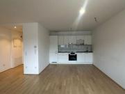 Wohnung mit 2 Schlafzimmer Wien 1060 DS100225248