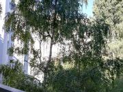 Wohnung mit 2 Schlafzimmer Wien 1080 ES95222884 Wohnung mit 2 Schlafzimmer Wien 1080 ES95222884